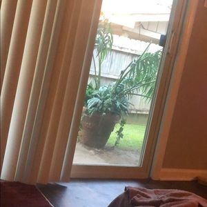 Meet your Posher, Corrine